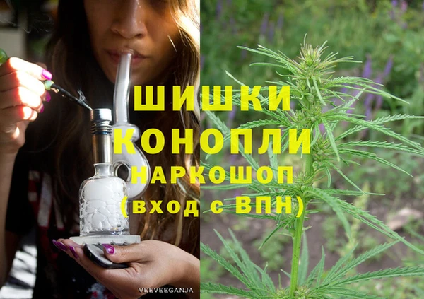 спайс Вяземский