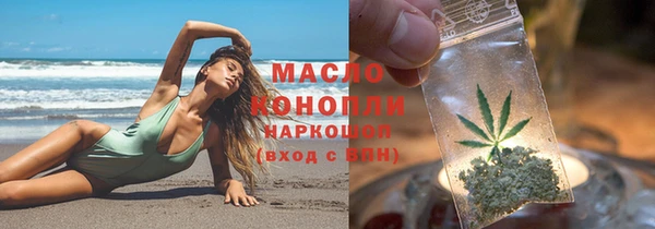индика Вязники
