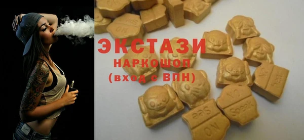 индика Вязники