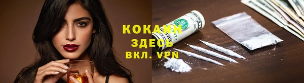 индика Вязники