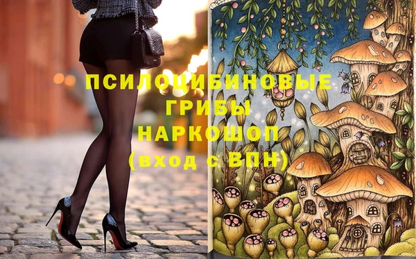 индика Вязники