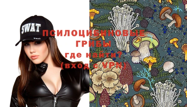 спайс Вяземский