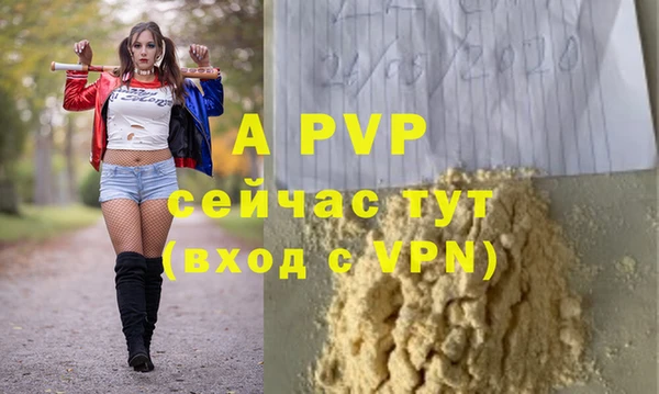 спайс Вяземский