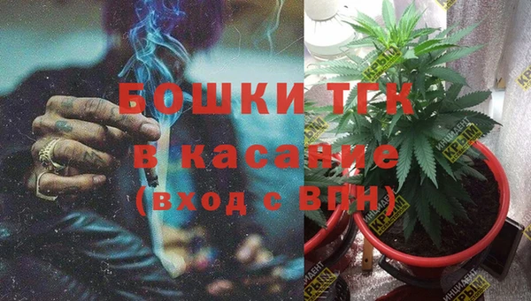 индика Вязники