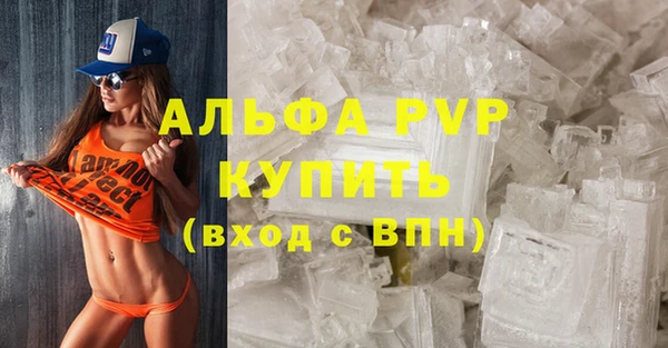 спайс Вяземский