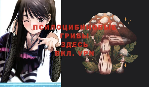 индика Вязники