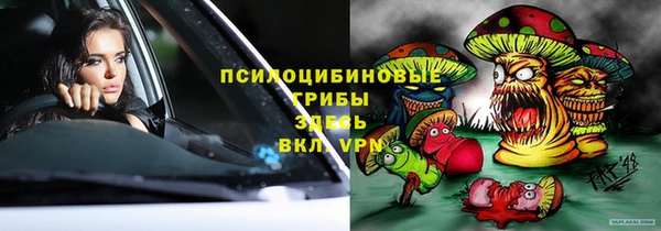 индика Вязники