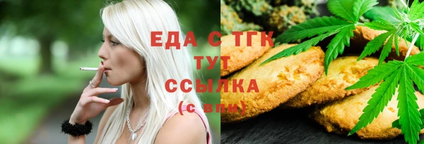 индика Вязники