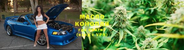 индика Вязники