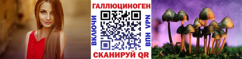 Галлюциногенные грибы Psilocybe  Черняховск 